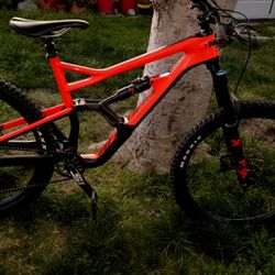 Mountain Bike, Cannondale Jekyll / $1,800