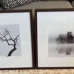 2 IKEA ~ RIBBA 20x20 Picture Frame #14743 in excellent condition  