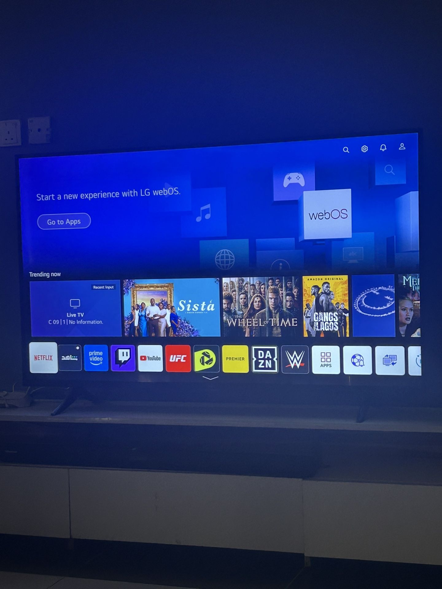 LG 60 Inch TV