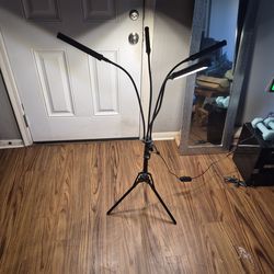 Grow light with stand