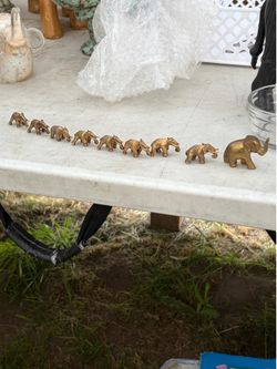 Herd of miniature elephants