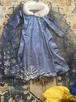 Frozen Costume 