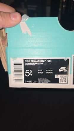 Nike SB Alleyoop GS Particle Grey Geode Teal