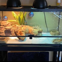 40 Gallon Reptile Terrarium With Stand 