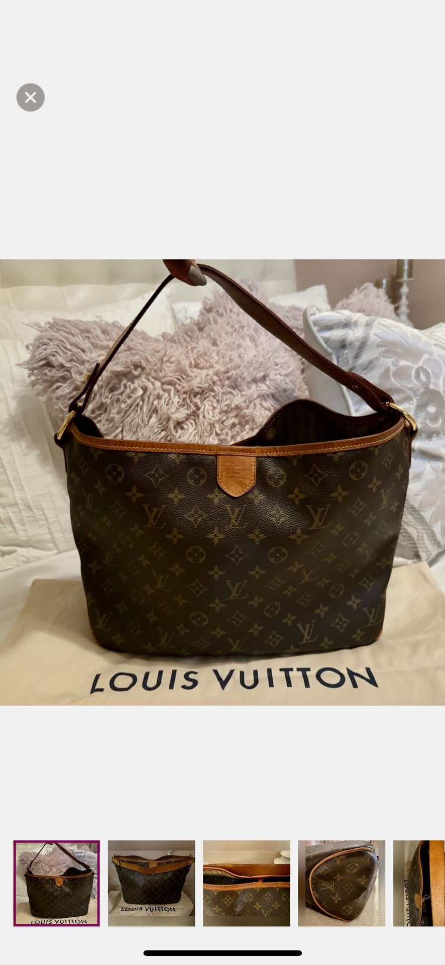 Louis Vuitton Delightful Tote