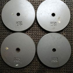 Standard Weights Plates 