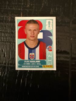 FIFA WORLD CUP STICKER HAALAND