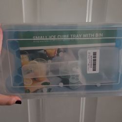 Ice Cube Trays With Bin And Scoop