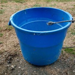 5 Gallon & 16 Gallon Heated Buckets 