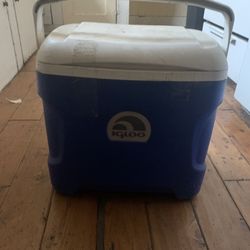 Igloo 30 Qt Cooler