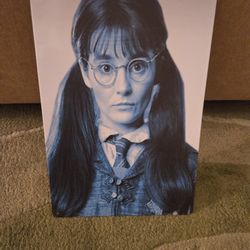 Harry Potter Moaning Myrtle Sign Tin Image 8" x 12"
