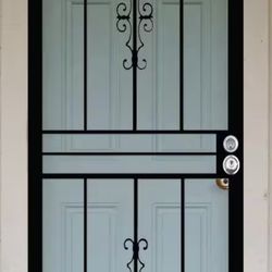 Storm Door/Security Door 