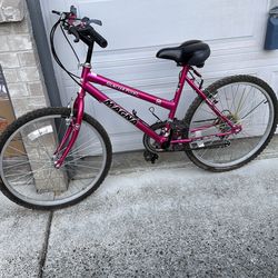 Girl’s 12 Speed Bike