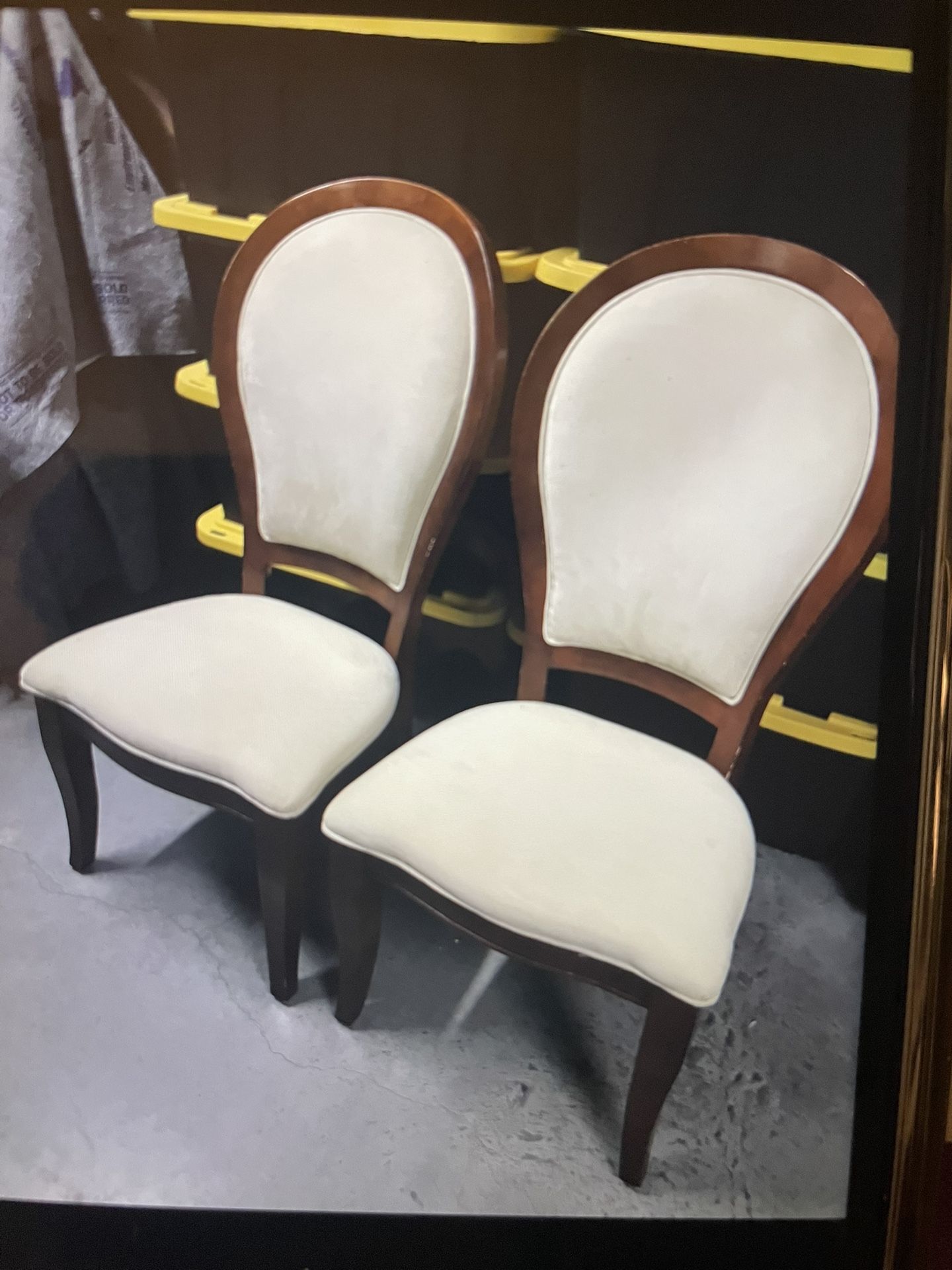 Dinning Room Chairs
