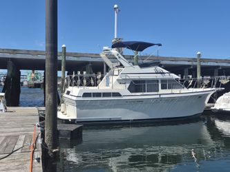 Tollycraft 35 Sundeck Motoryacht