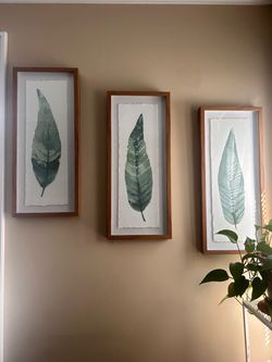 Set of 3 Framed Botanical Leaf Watercolor Prints