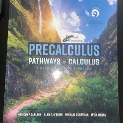Precalculus Pathways To Calculus