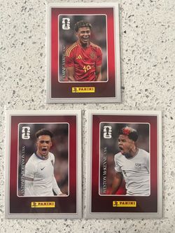 Panini World Cup Trading Cards