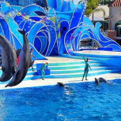 San Diego  Seaworld tickets 