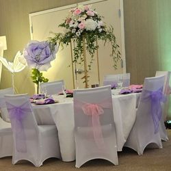 Chair Covers 