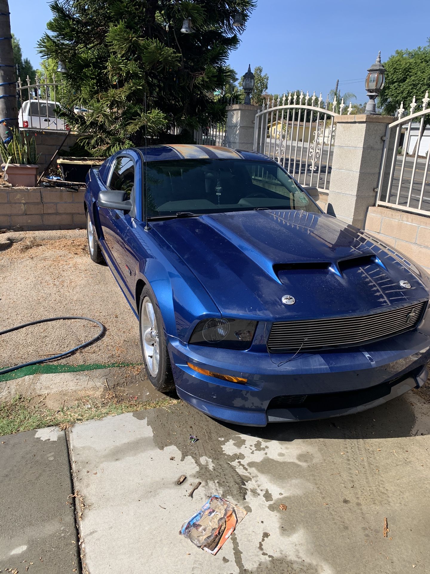 2008 Ford Mustang