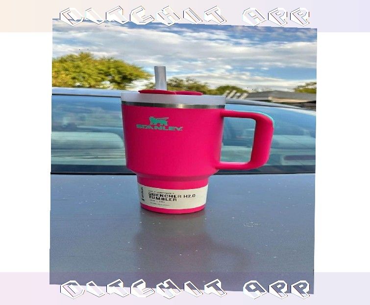 Display Your Style with Stanley Cups in Various Design Choices front young