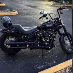 2020 Harley - Davidson Street Bob