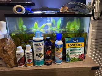 10 gallon tank with fish included