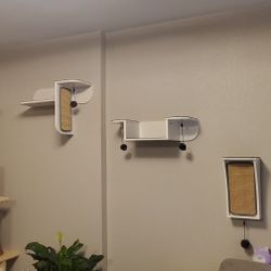 3 Cat Climbing Shelves