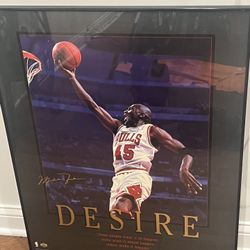 Micheal Jordan DESIRE 30x24 Framed