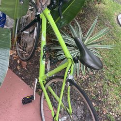 Bicycle:  Lightweight Carbondale, 52”