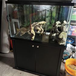 fish tank with sand