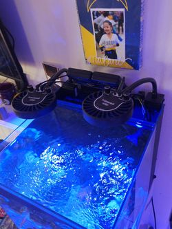 Kessil A80 lights with Controller