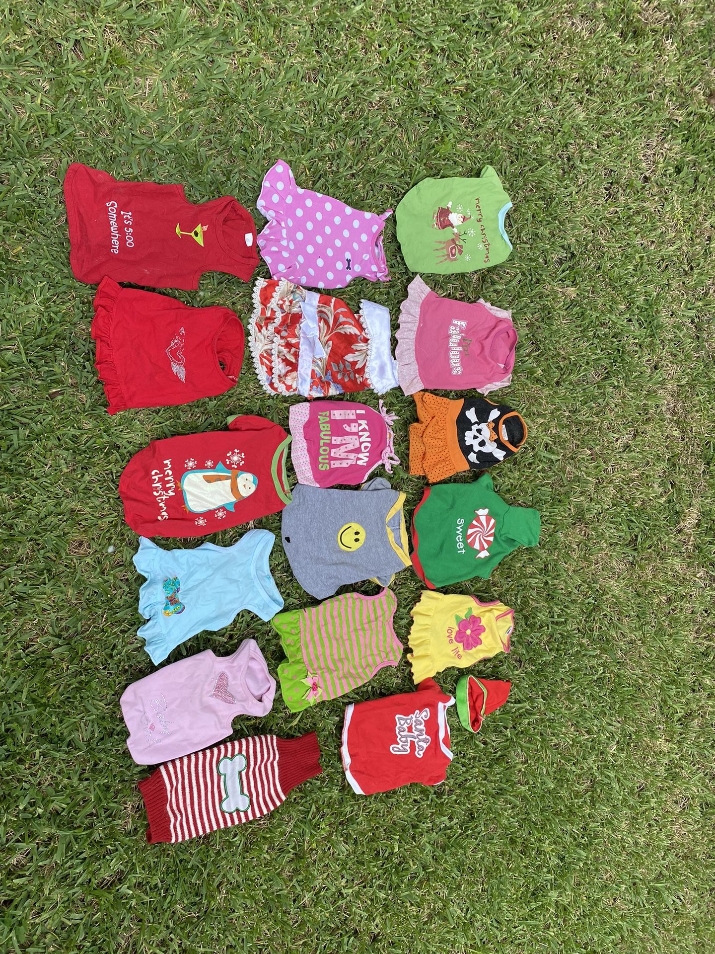 Dog Shirts