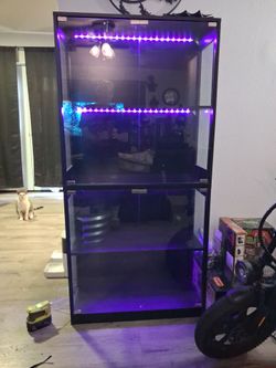 Glass collectors case with led color shelf lighting