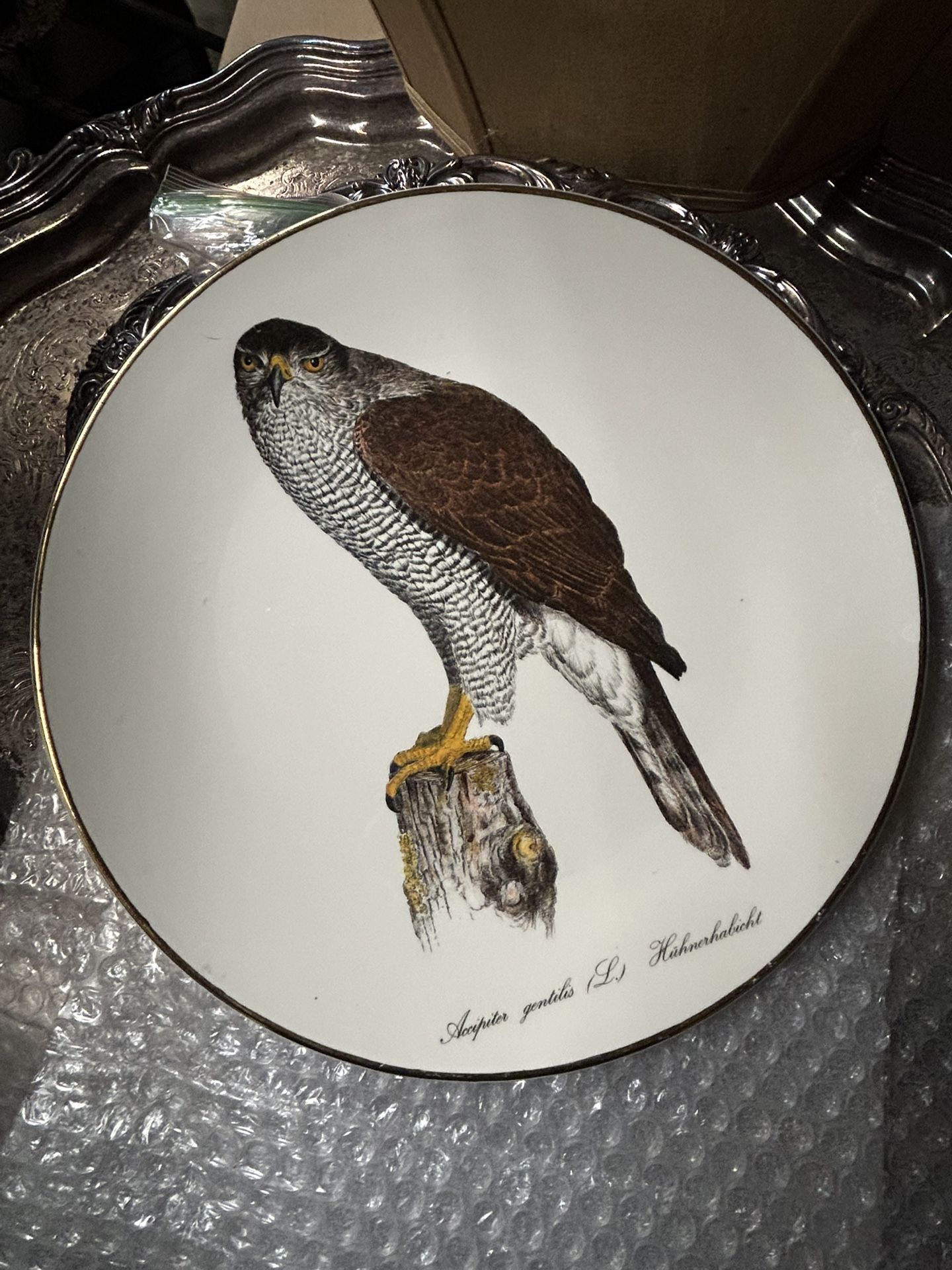 6 Different Birds Of Prey Porcelain Dish collection