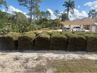 Fresh Fast SOD