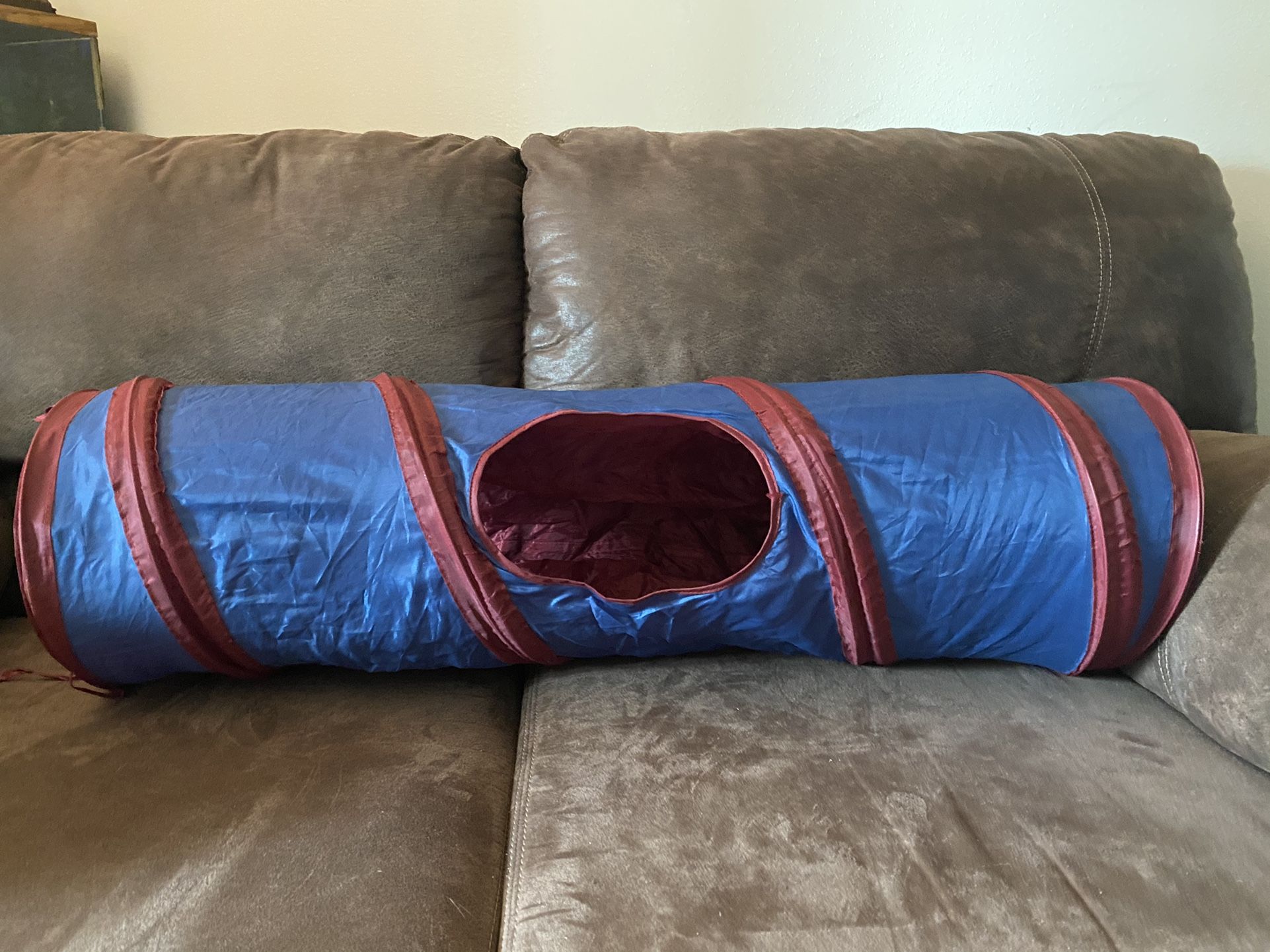 Cat Toy