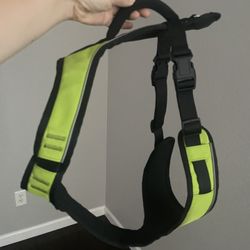 Dog Harness