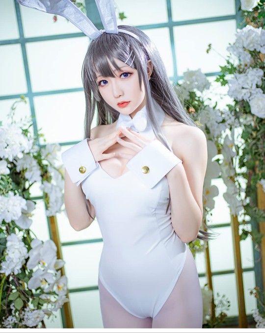 Women Bunny Girl Senpai Cosplay One Piece Bodysuit