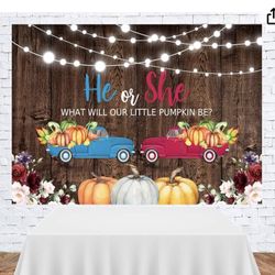 Gender Reveal Backdrop - He Or She Pumpkin Theme
