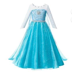 Elsa Costume 