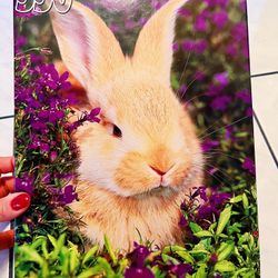 550 Piece Rabbit Bunny Jigsaw Puzzle