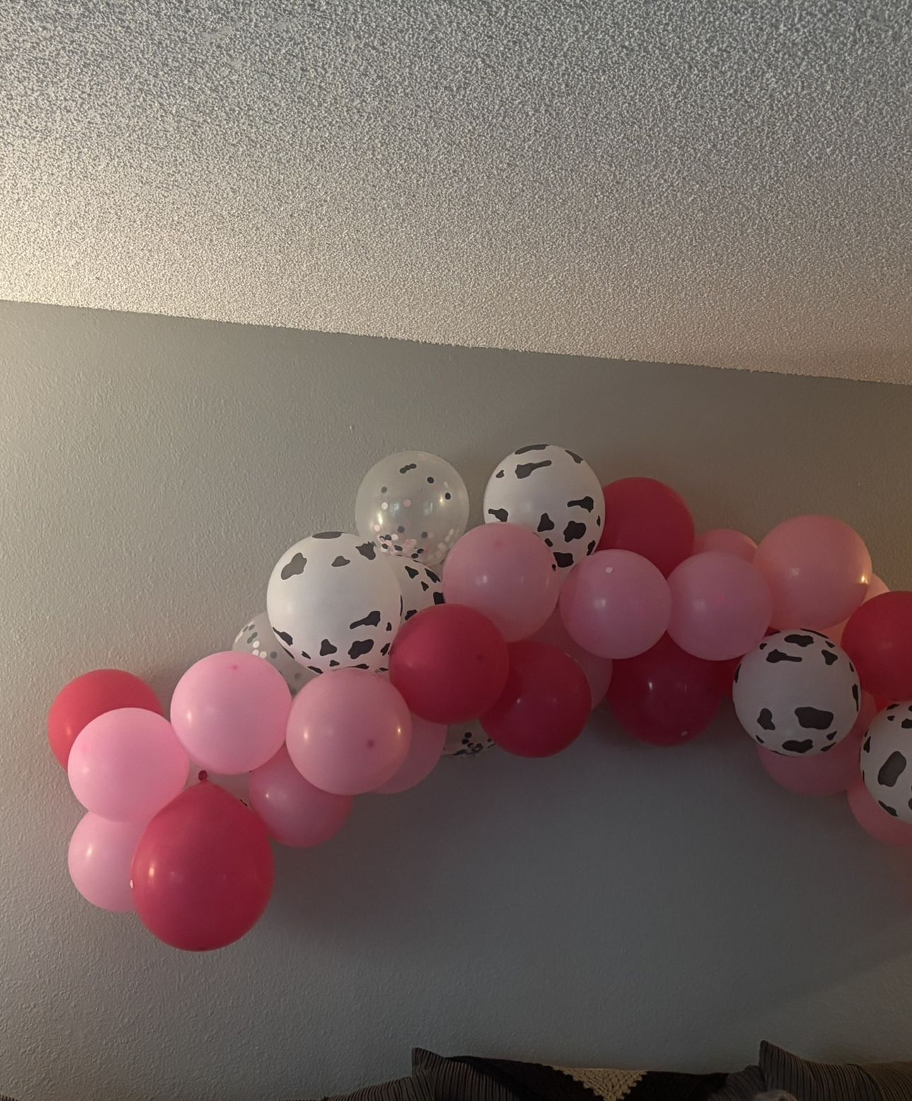 Cowgirl Party (3rd Birthday)