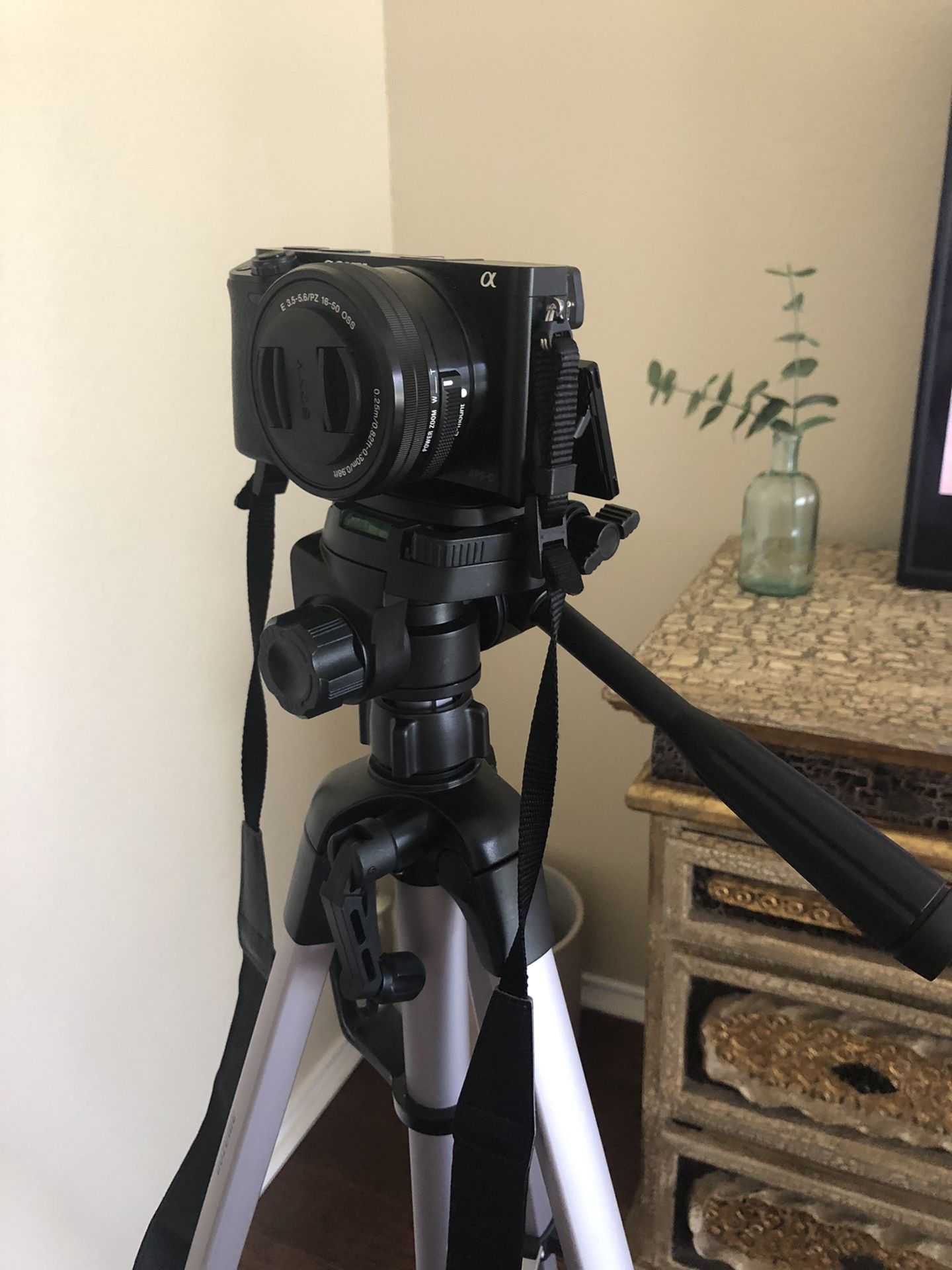 Sony a6000 camera with 2 lens and Tripod