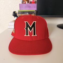Milwaukee Brewers Hat