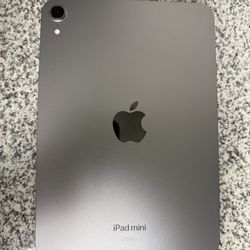 iPad Mini 