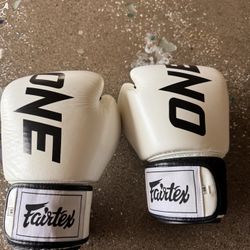 Fairtex Authentic Leather Boxing Gloves + Shin Pads 