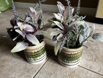 Set Of Two Plastic Plants With pots 