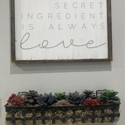 Metal Succulent Display